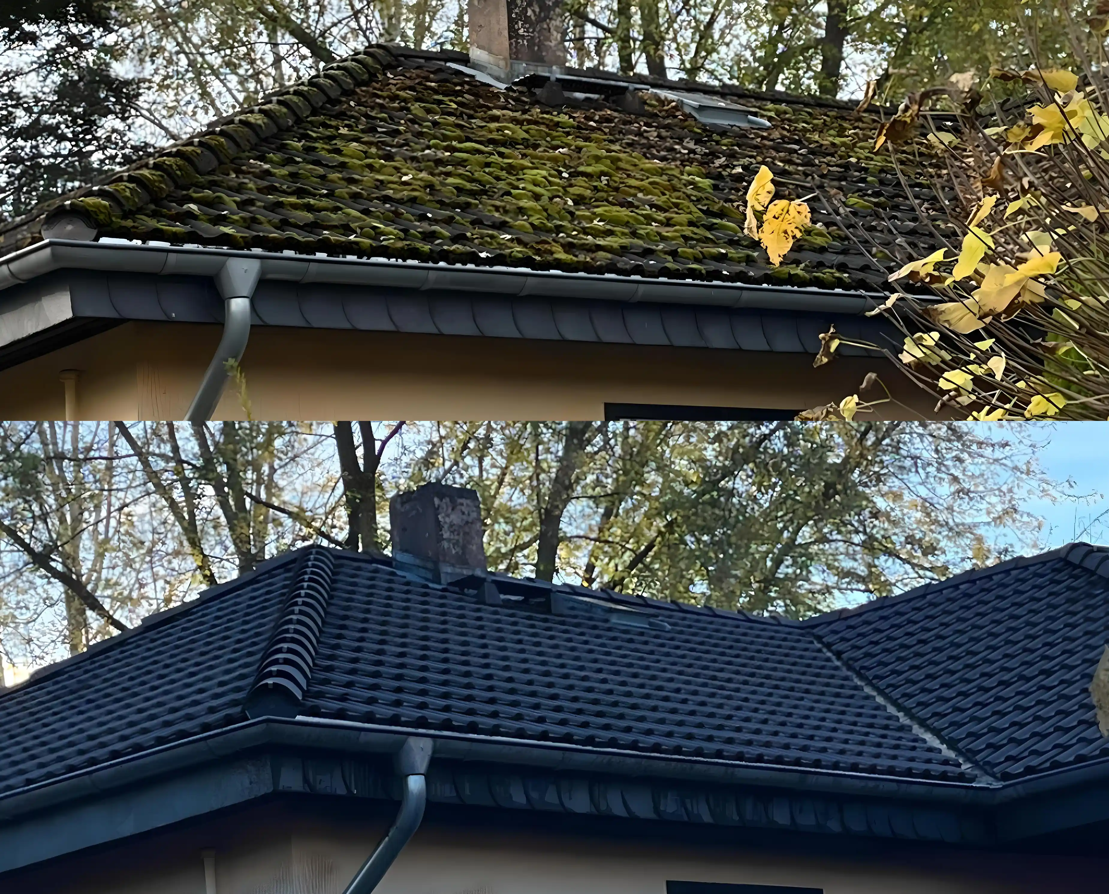 Dachreinigung